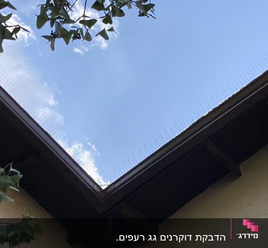 קוצים למניעת יונים על גג בניין